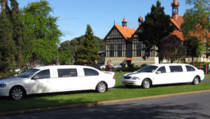 Two luxury cars on private tour to Rotorua