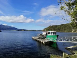 Lake Rotomahana on private tour of Rotorua